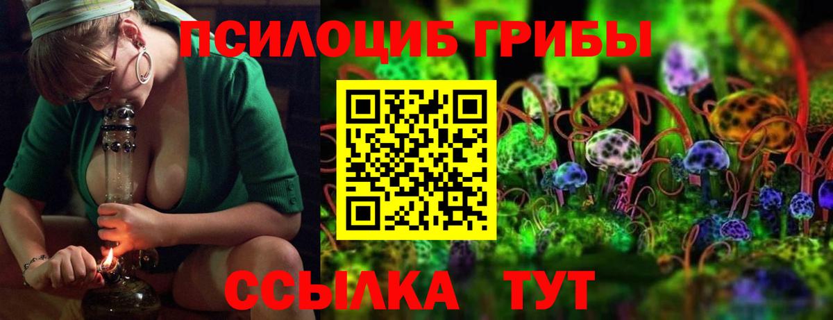 Галлюциногенные грибы мухоморы Балашов